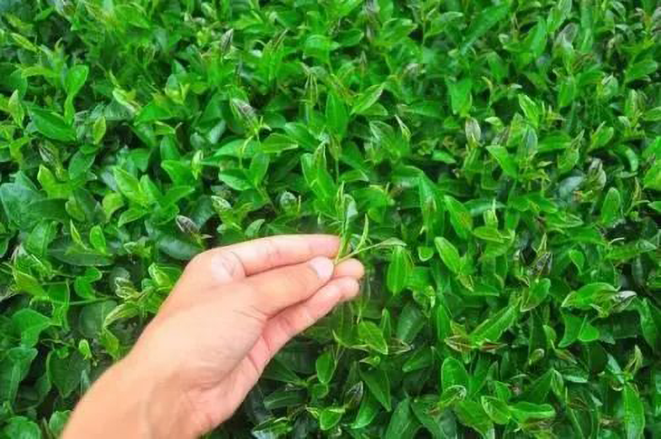 1587351204808982.png 2.png